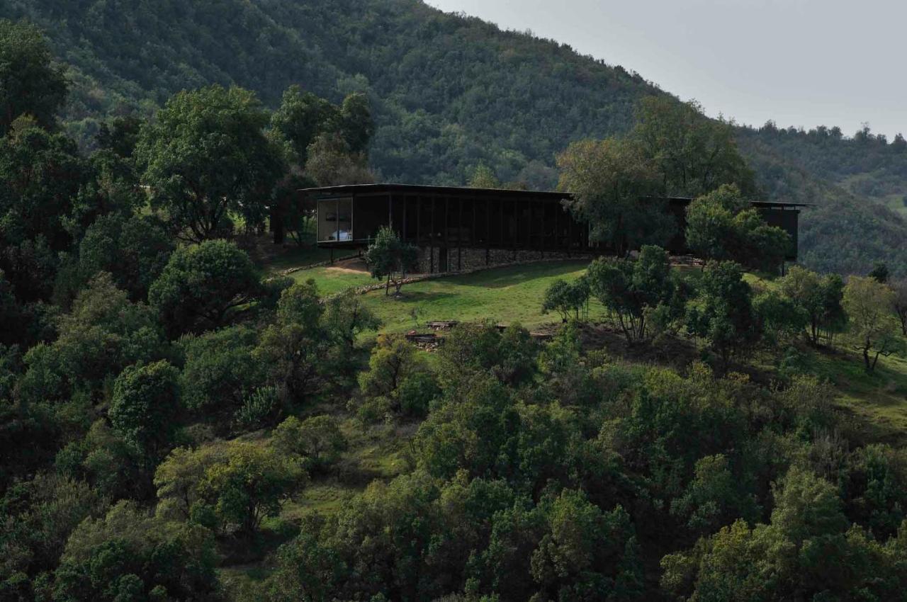 Vik Chile Hotel San Vicente de Taguatagua Luaran gambar
